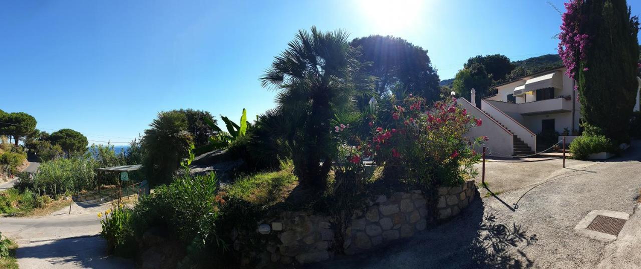 Villa Dei Limoni SantʼAndrea Exteriör bild